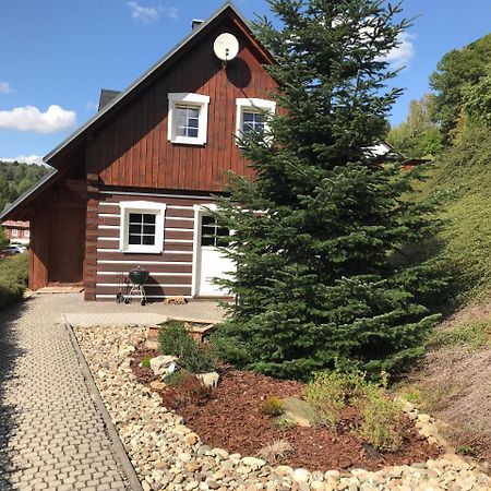 Modern Chalet Na Zlatniku Zlata Olesnice  Экстерьер фото